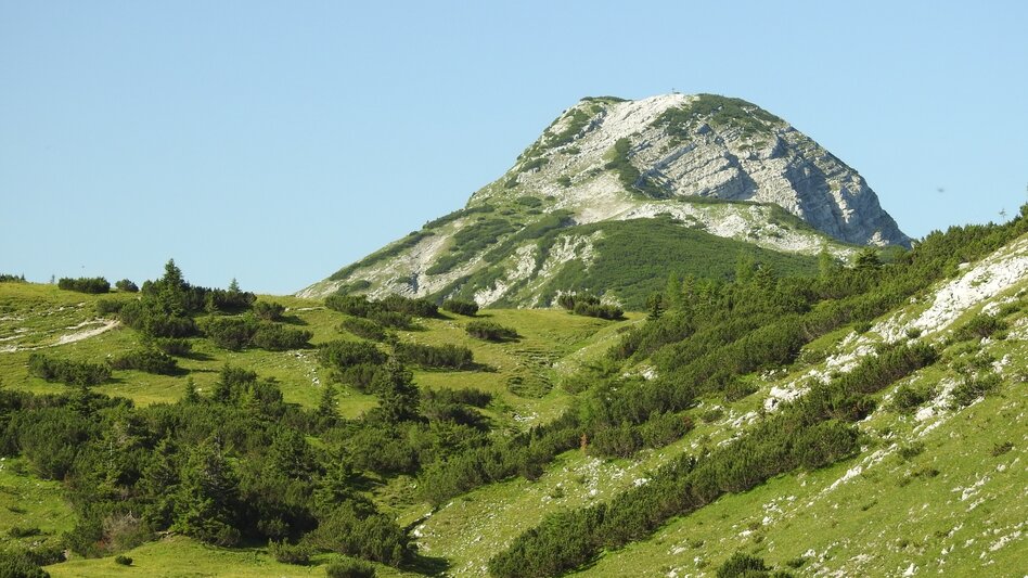 Wanderung Über die Kräuterinalm auf den Hochstadl - Touren-Impression #2.2 | © TV Hochsteiermark