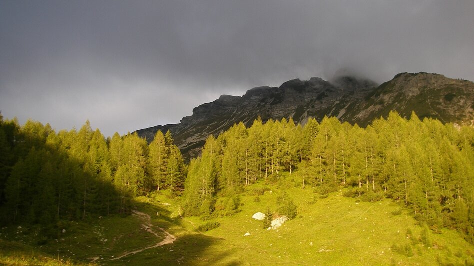 Wanderung Über die Kräuterinalm auf den Hochstadl - Touren-Impression #2.7 | © TV Hochsteiermark