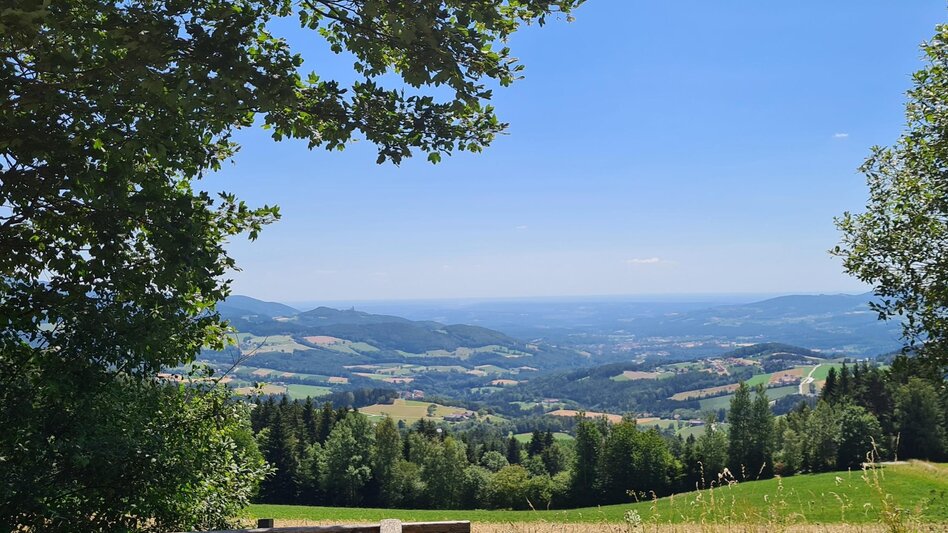 Wanderung Pöllau-Runde über Gschaid und Schloffereck, Pöllau - Touren-Impression #2.4 | © Oststeiermark Tourismus