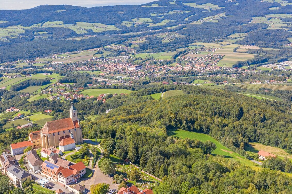 Cycling Circular tour Ringwarte, Pöllauberg - Touren-Impression #1 | © Oststeiermark Tourismus