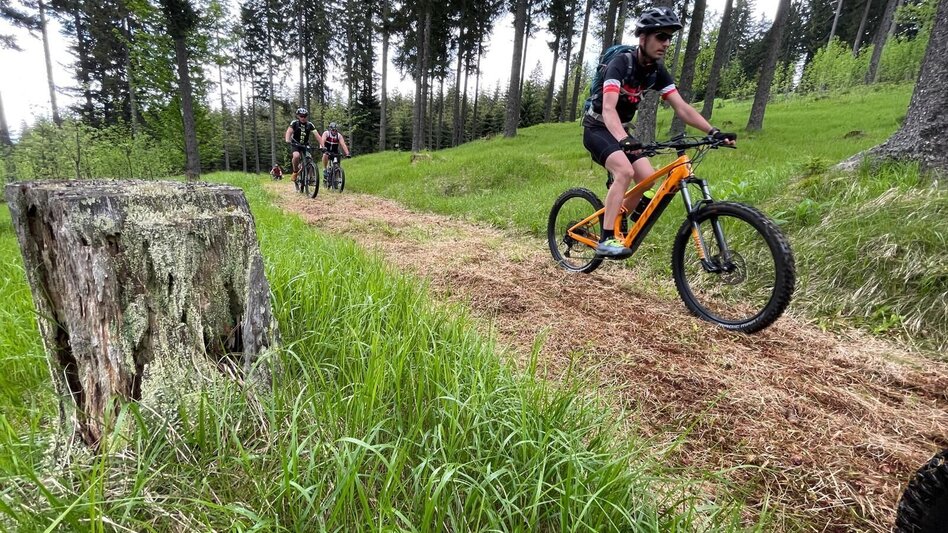 Mountainbike Brendlalm (Wies), Nr. 208 - Touren-Impression #2.2 | © TVB Südsteiermark/Markus Gutschi / netWERKER Mediahaus