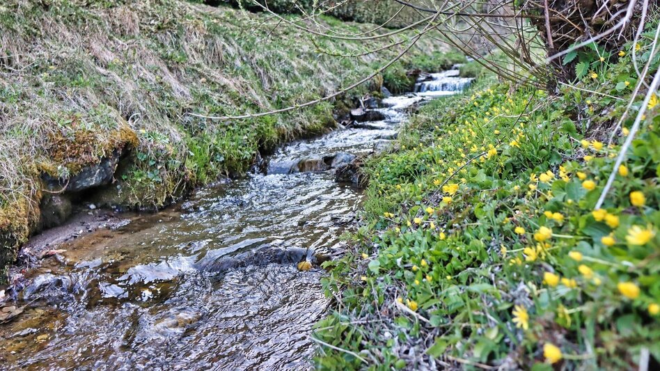 Wanderung Auf der Höh´ über Rattenberger Graben - Touren-Impression #2.5 | © Weges OG
