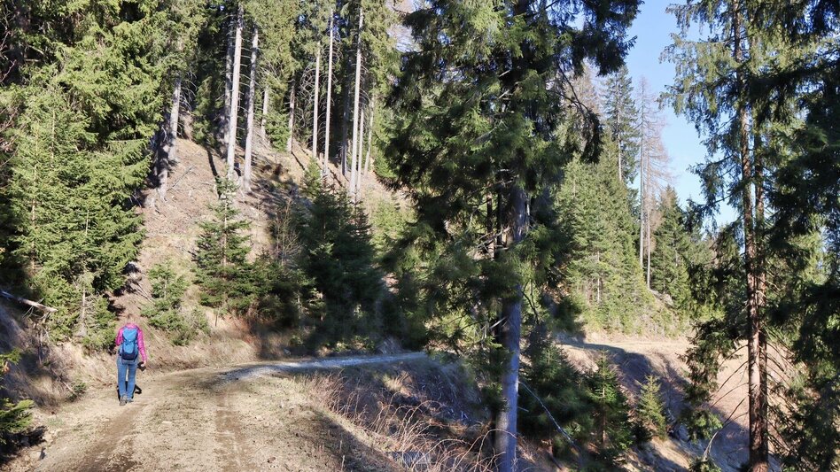 Wanderung Auf der Höh´ über Rattenberger Graben - Touren-Impression #2.11 | © Weges OG