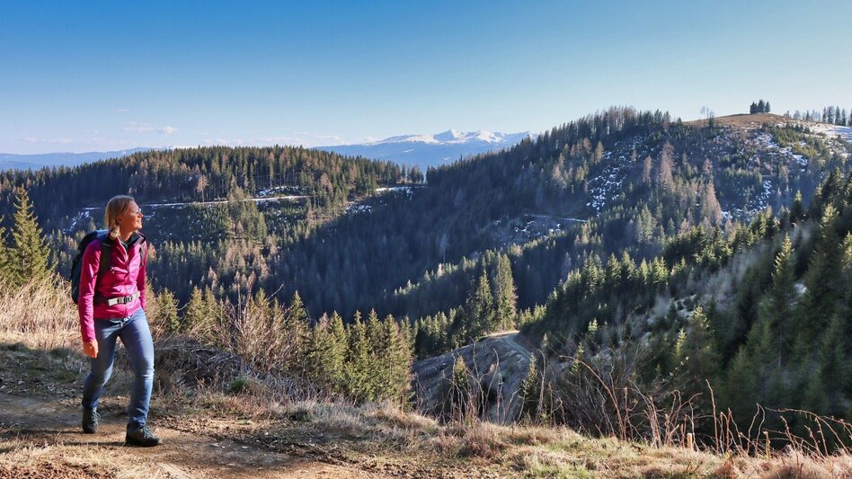 Wanderung Auf der Höh´ über Rattenberger Graben - Touren-Impression #2.12 | © Weges OG
