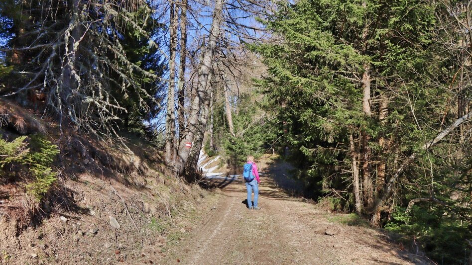 Wanderung Auf der Höh´ über Rattenberger Graben - Touren-Impression #2.13 | © Weges OG