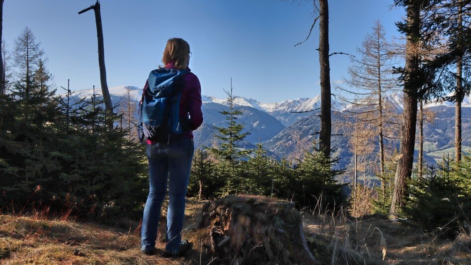 Wanderung Auf der Höh´ über Rattenberger Graben - Touren-Impression #2.14 | © Weges OG