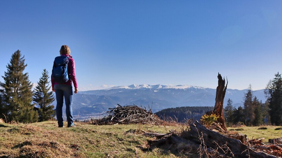 Wanderung Auf der Höh´ über Rattenberger Graben - Touren-Impression #2.17 | © Weges OG