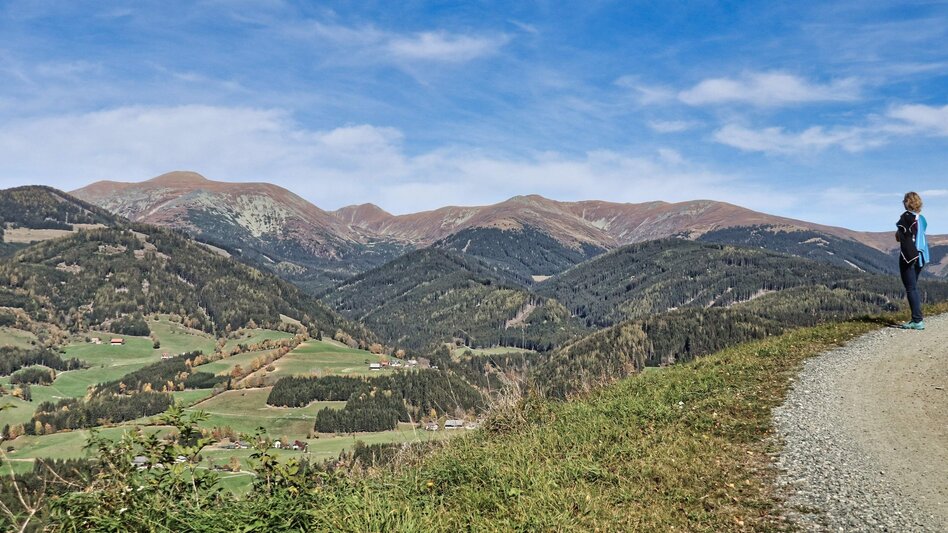 Hiking Route Tremmelberg "Tower in the mountains" via Willhuber - Touren-Impression #2.4 | © Weges OG
