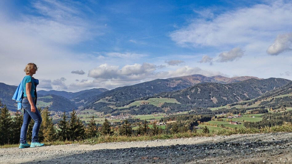 Hiking Route Tremmelberg "Tower in the mountains" via Willhuber - Touren-Impression #2.5 | © Weges OG