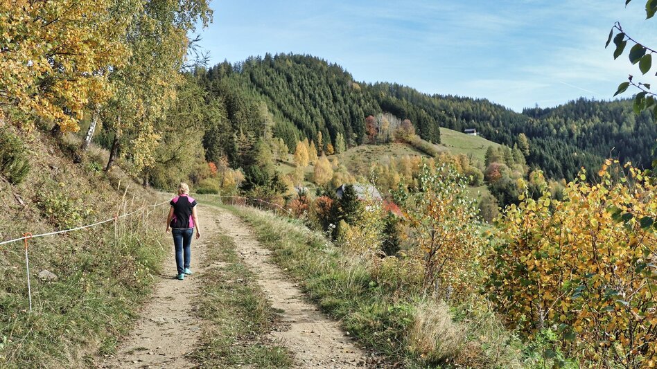 Hiking Route Tremmelberg "Tower in the mountains" via Willhuber - Touren-Impression #2.9 | © Weges OG
