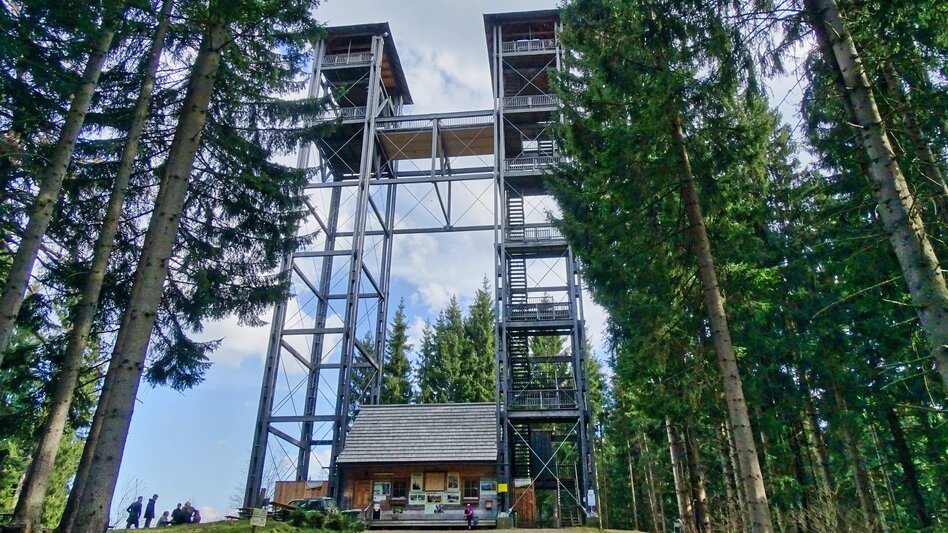 Hiking Route Tremmelberg "Tower in the mountains" via Willhuber - Touren-Impression #2.12 | © Weges OG