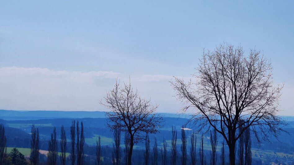 Wanderung Beistein-Runde, Grafendorf - Touren-Impression #2.2 | © Oststeiermark Tourismus