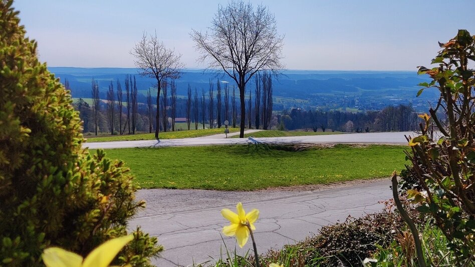 Wanderung Beistein-Runde, Grafendorf - Touren-Impression #2.3 | © Oststeiermark Tourismus