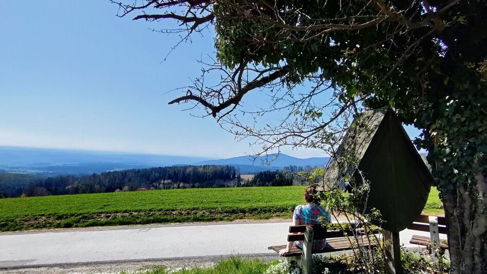 Wanderung Beistein-Runde, Grafendorf - Touren-Impression #2.5 | © Oststeiermark Tourismus