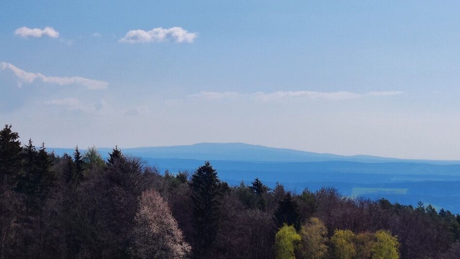 Wanderung Beistein-Runde, Grafendorf - Touren-Impression #2.7 | © Oststeiermark Tourismus