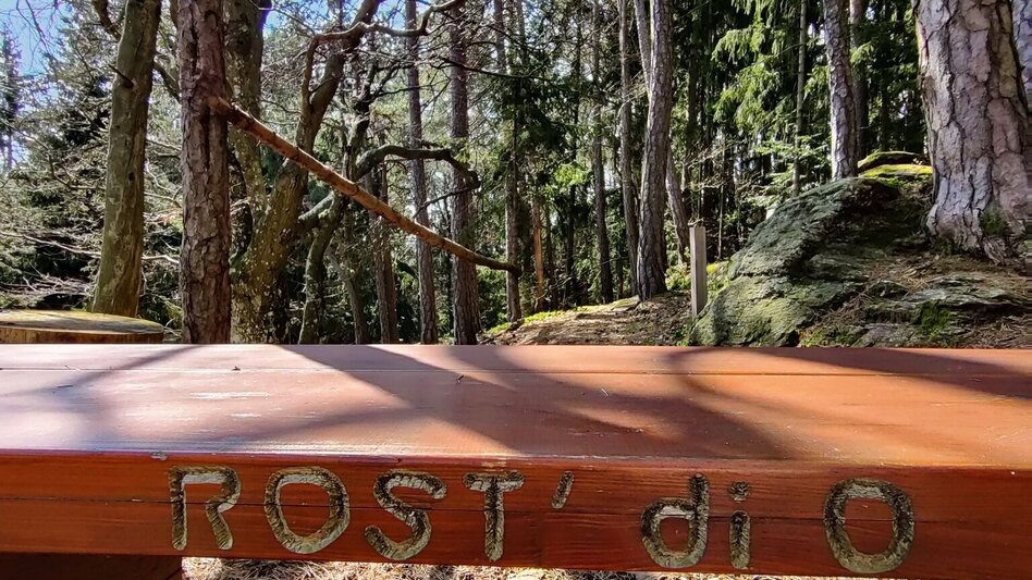 Wanderung Beistein-Runde, Grafendorf - Touren-Impression #2.8 | © Oststeiermark Tourismus
