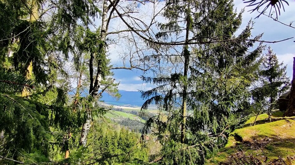 Wanderung Beistein-Runde, Grafendorf - Touren-Impression #2.11 | © Oststeiermark Tourismus