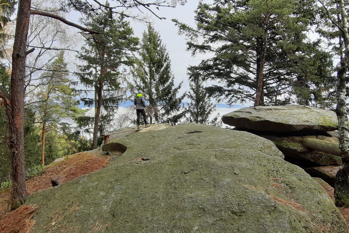 Wanderung Beistein-Runde, Grafendorf - Touren-Impression #1