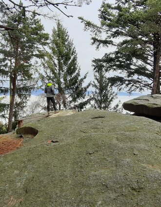 Beistein im Wald in der Oststeiermark | Gemeinde Grafendorf