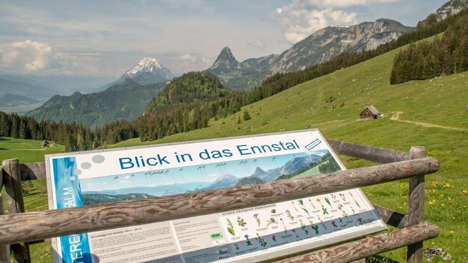 Bergtour Nazogel und Angerkogel - Touren-Impression #2.5 | © TV Gesäuse