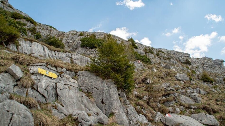 Bergtour Nazogel und Angerkogel - Touren-Impression #2.9 | © TV Gesäuse