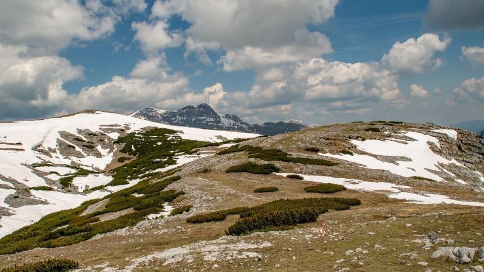 Bergtour Nazogel und Angerkogel - Touren-Impression #2.11 | © TV Gesäuse