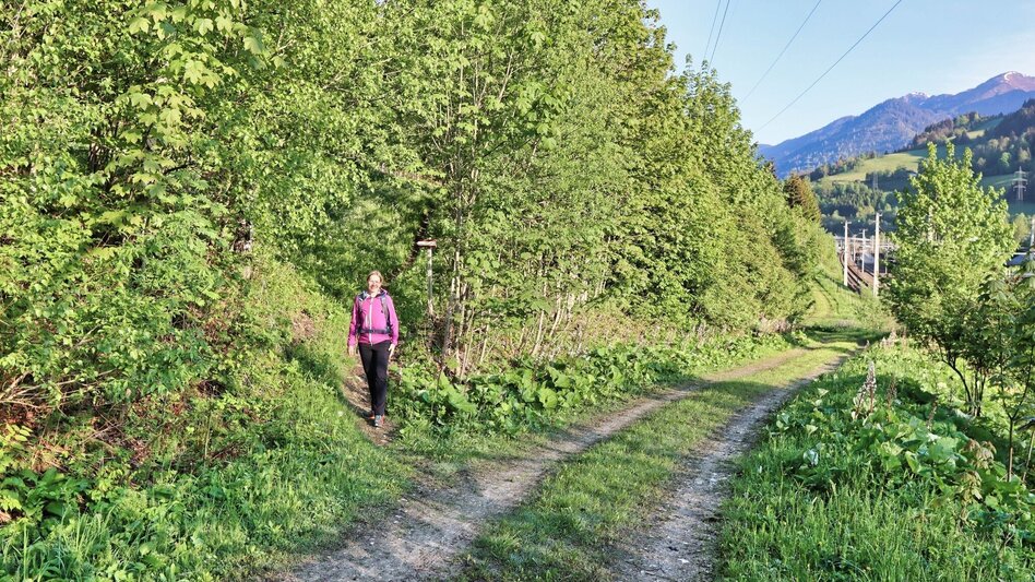 Wanderung Großer Schober - Touren-Impression #2.2 | © Weges OG