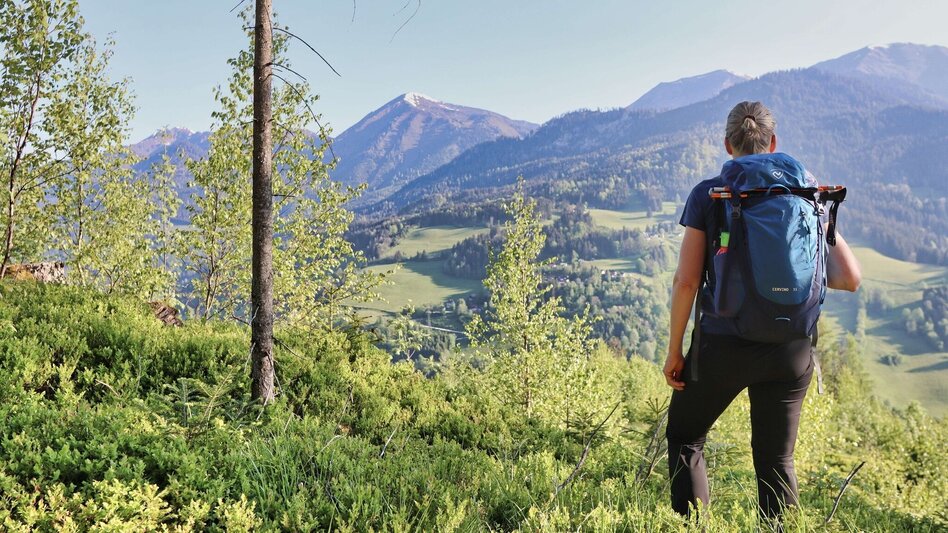 Wanderung Großer Schober - Touren-Impression #2.5 | © Weges OG