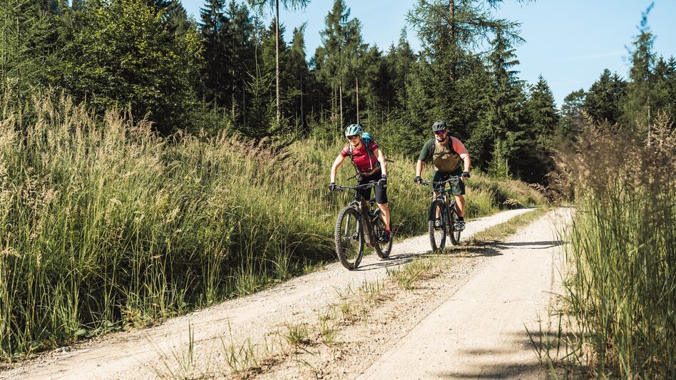 Mountainbike Etappe 04 Trans Nationalpark St. Gallen - Palfau - Touren-Impression #2.6 | © TV Gesäuse