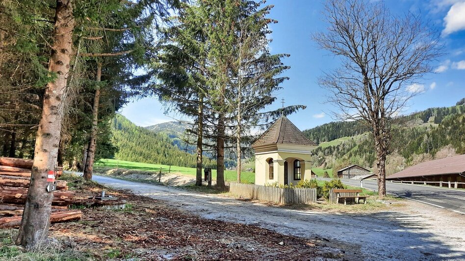 Wanderung Habring über Greimegger - Touren-Impression #2.2 | © Weges OG