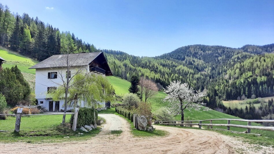 Wanderung Habring über Greimegger - Touren-Impression #2.3 | © Weges OG