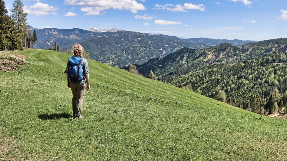 Wanderung Habring über Greimegger - Touren-Impression #2.5 | © Weges OG