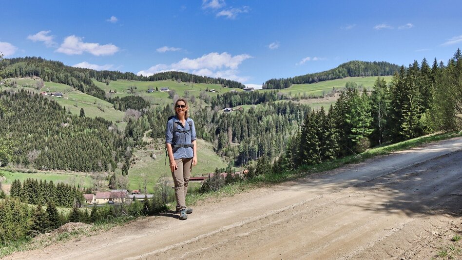 Wanderung Habring über Greimegger - Touren-Impression #2.6 | © Weges OG