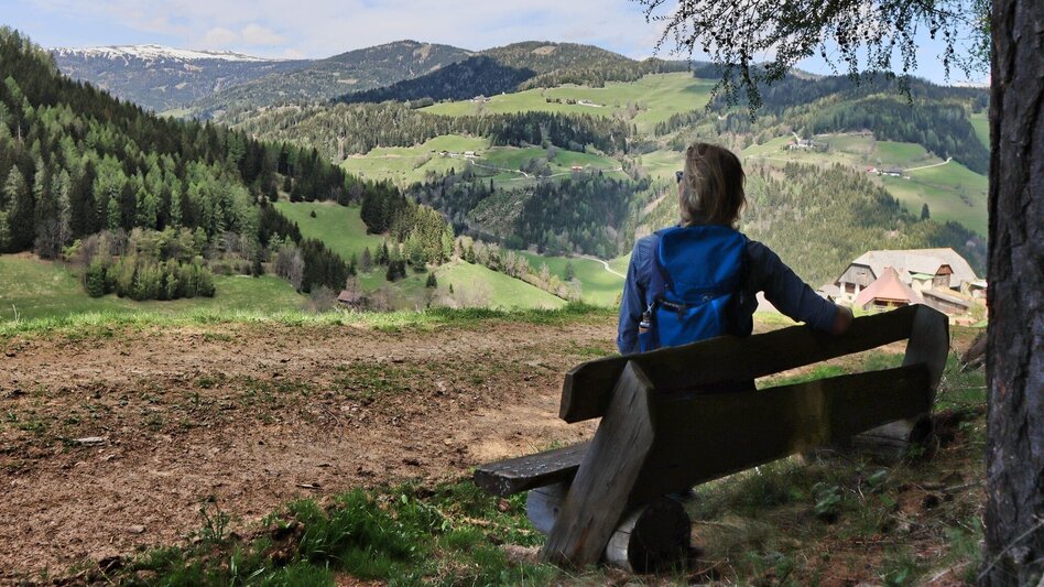 Wanderung Habring über Greimegger - Touren-Impression #2.9 | © Weges OG