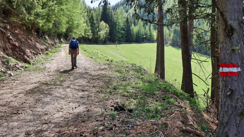 Wanderung Habring über Greimegger - Touren-Impression #2.10 | © Weges OG