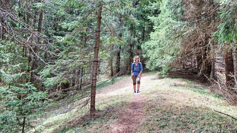 Wanderung Habring über Greimegger - Touren-Impression #2.11 | © Weges OG