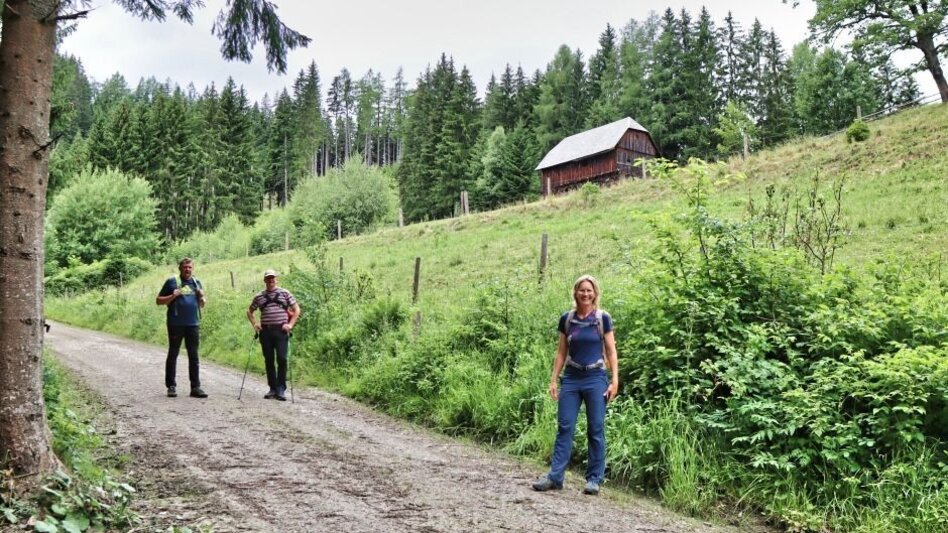 Hiking Route Rabenstein from Mautern - Touren-Impression #2.1 | © Tourismusverband ERZBERG LEOBEN