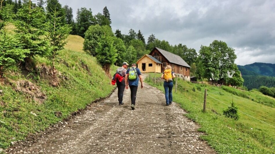 Hiking Route Rabenstein from Mautern - Touren-Impression #2.2 | © Tourismusverband ERZBERG LEOBEN