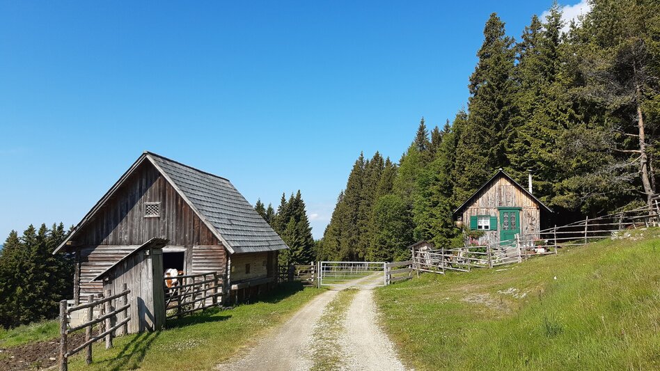 Hiking Route "alpannonia" - feeder: Waldbach - Hochwechsel, Waldbach - Touren-Impression #2.4 | © WEGES