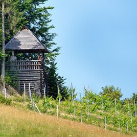 Keltischer Wehrturm | © Südsteiermark