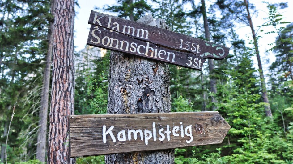 Hiking Route Round hike from Tragöß to the Sonnschienalm - Touren-Impression #2.2 | © Weges OG