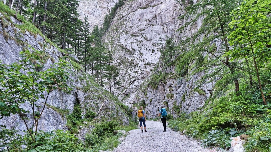 Hiking Route Round hike from Tragöß to the Sonnschienalm - Touren-Impression #2.3 | © Weges OG