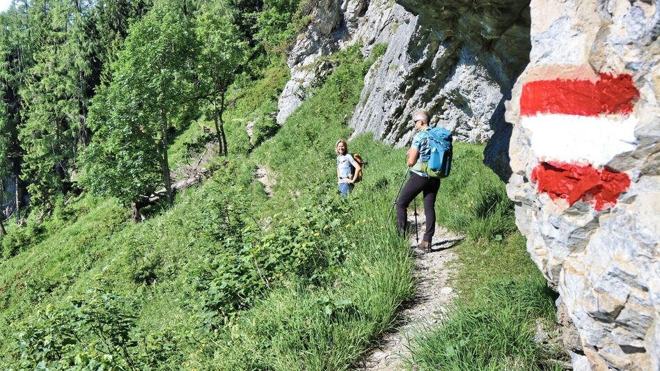 Hiking Route Round hike from Tragöß to the Sonnschienalm - Touren-Impression #2.5 | © Weges OG