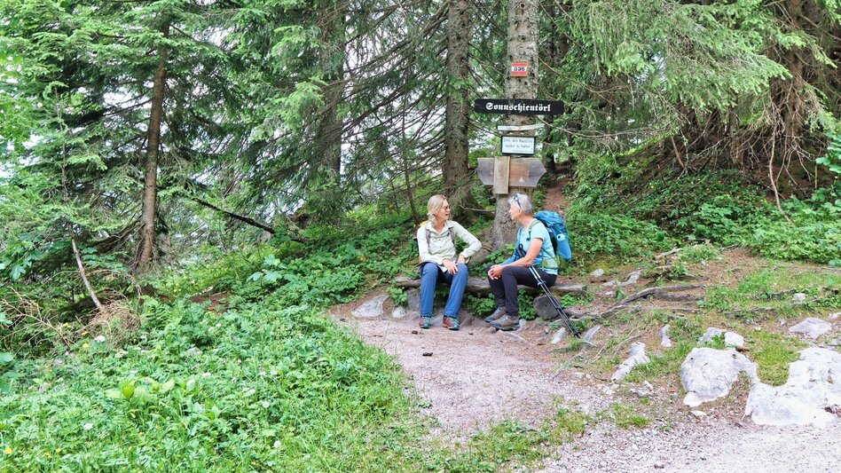 Hiking Route Round hike from Tragöß to the Sonnschienalm - Touren-Impression #2.9 | © Weges OG