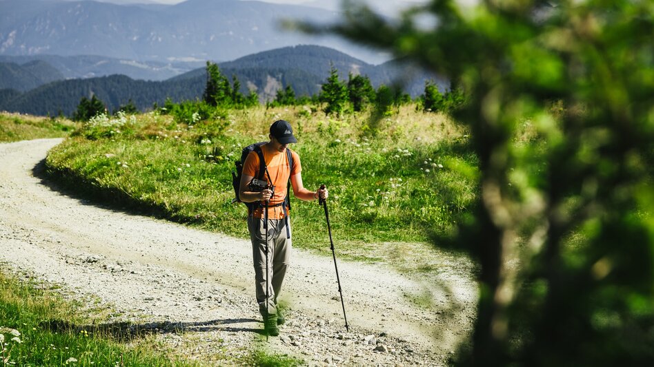 Hiking Route "alpannonia" - feeder: Rettenegg - Stuhleck - via the Planet Trail, Rettenegg - Touren-Impression #2.4 | © Oststeiermark Tourismus