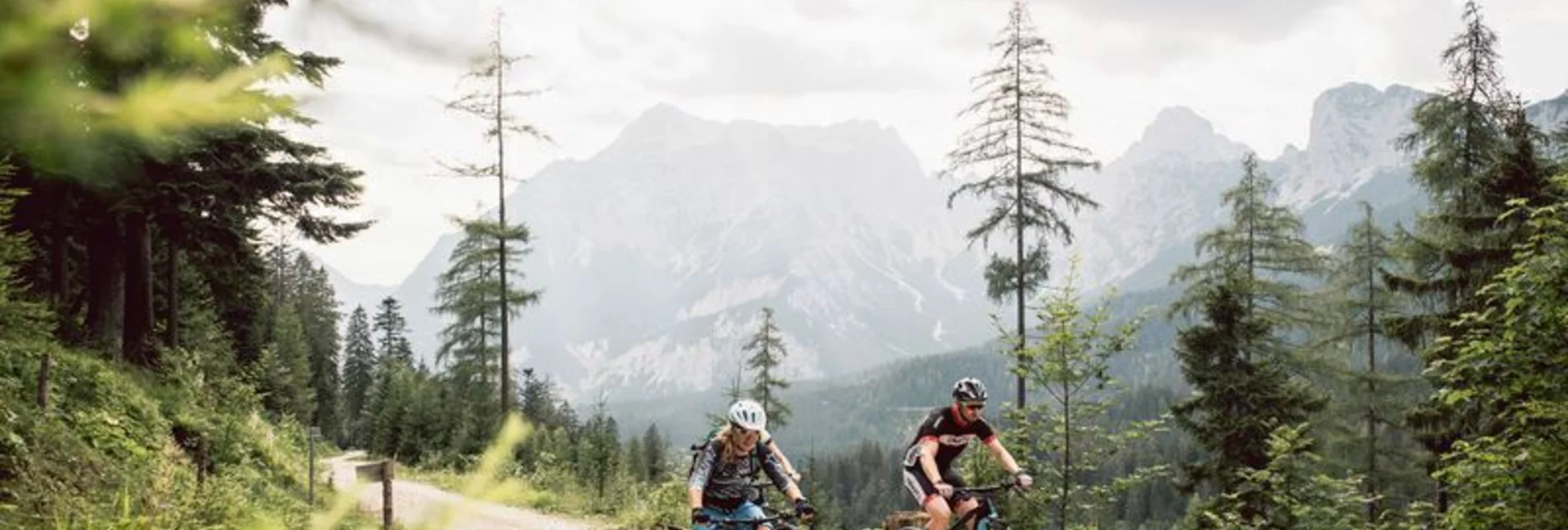 Mountain Biking Ennsbodenweg - Touren-Impression #1 | © TV Gesäuse