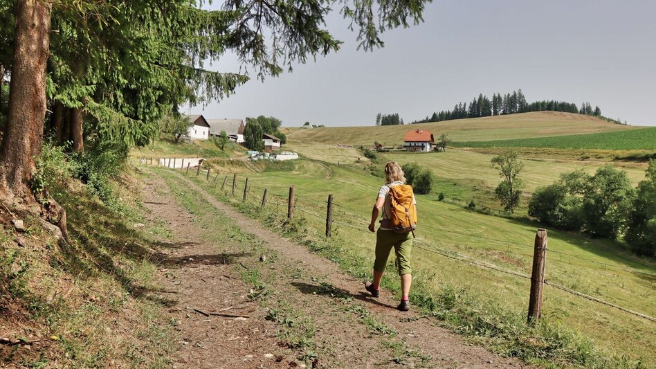 Hiking Route 1. Etappe Styrian Iron Trail - St.Michael - Ulrichskirche / Seiz - Touren-Impression #2.9 | © Weges OG