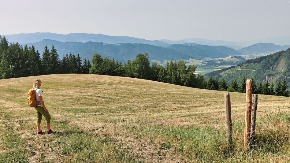 Hiking Route 1. Etappe Styrian Iron Trail - St.Michael - Ulrichskirche / Seiz - Touren-Impression #2.10 | © Weges OG