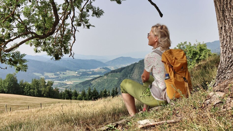 Hiking Route 1. Etappe Styrian Iron Trail - St.Michael - Ulrichskirche / Seiz - Touren-Impression #2.11 | © Weges OG