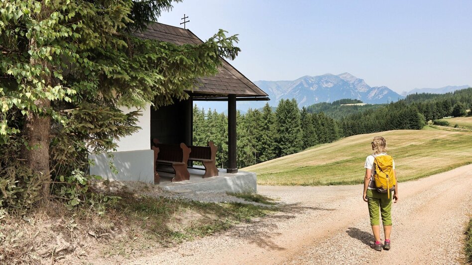 Hiking Route 1. Etappe Styrian Iron Trail - St.Michael - Ulrichskirche / Seiz - Touren-Impression #2.12 | © Weges OG